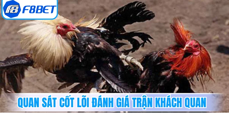 Quan sát cốt lõi đánh giá trận khách quan