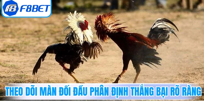 Theo dõi màn đối đầu phân định thắng bại rõ ràng